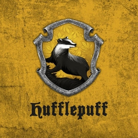 Regalos y disfraces Hufflepuff Harry Potter